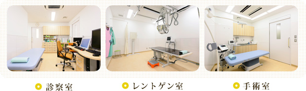 診察室、レントゲン室、手術室