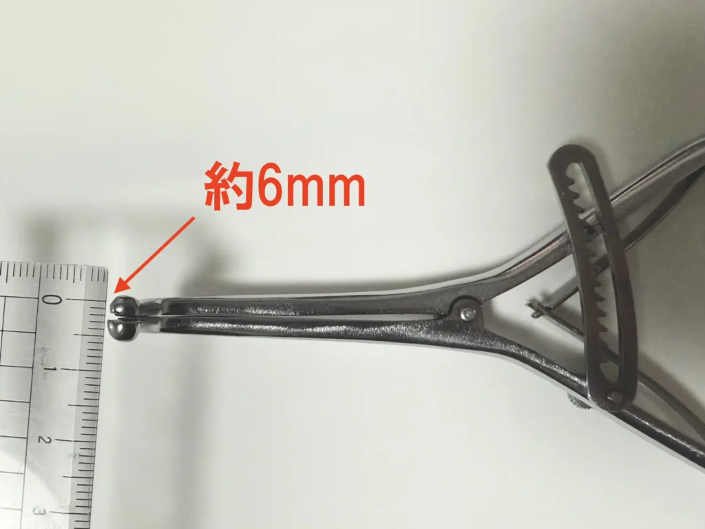 キトー君の先端幅は約6mm